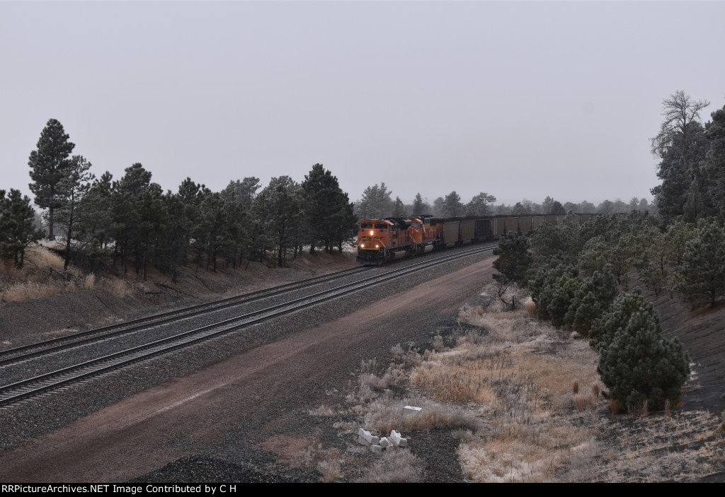 BNSF 8422/9746